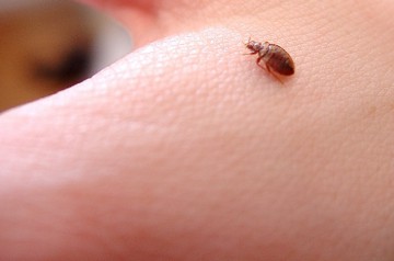 Deţinuţi bătuţi, „spânzuraţi” de tavan şi acoperiţi cu gândaci